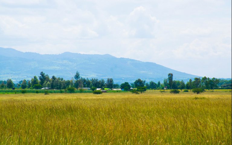 The truth about investing in land in Kenya and not any o <b>...</b>